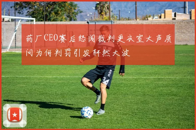 药厂CEO赛后怒闯裁判更衣室大声质问为何判罚引发轩然大波